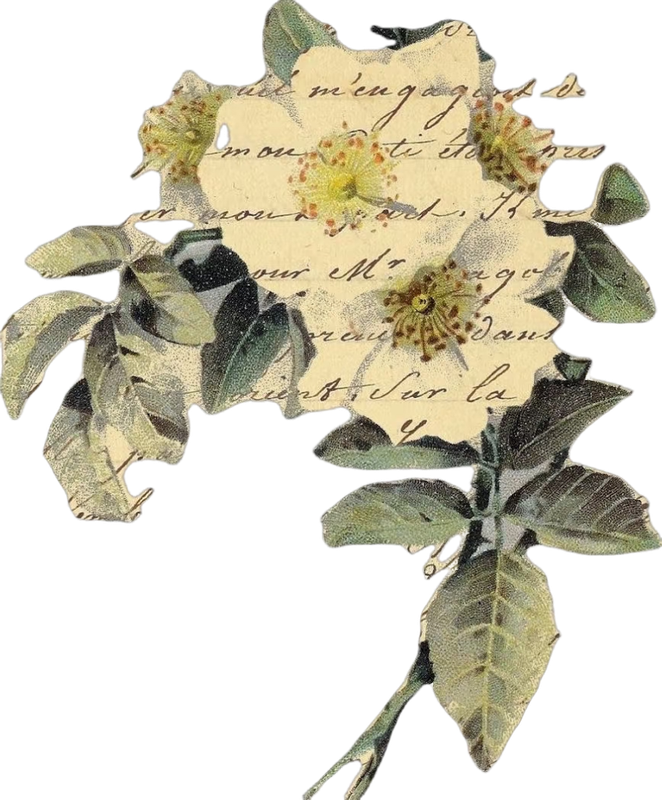 retouch 2025110323155458