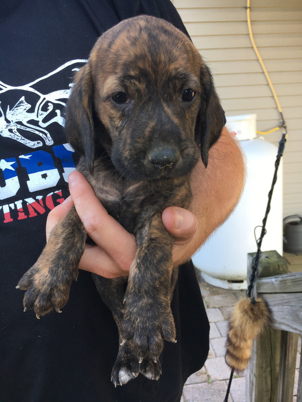 1E2ECDA0-2EDD-4155-B5F5-88A2502AF33C