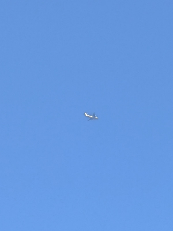 IMG 20260823 145025