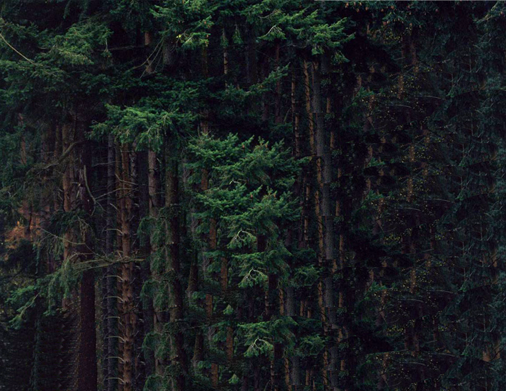 Hagrid hut Background I