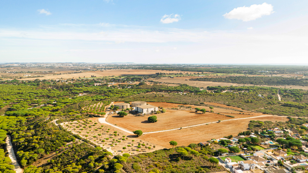 Commercial Plot in Dholera SIR