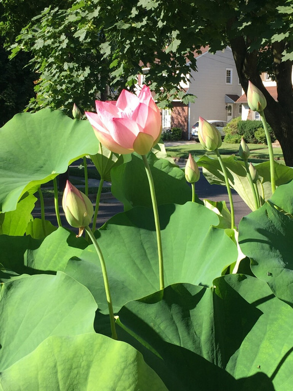 11094DE7-76C9-418B-998F-3F5B73749D95