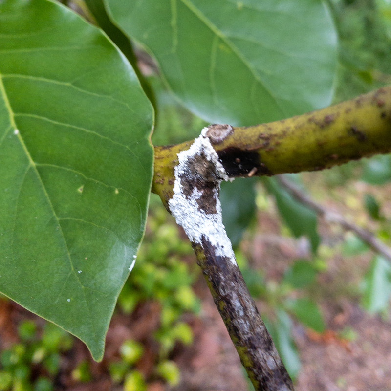 FA6EA822-2AFD-4A4C-B4AA-58D162DDFF0E