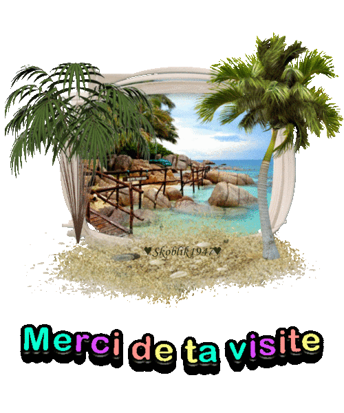 merci-de-ta-visite