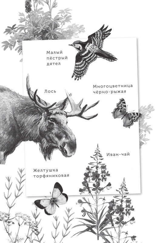 Prishvin-Mihail-Kladovaja-solnca-page-0003