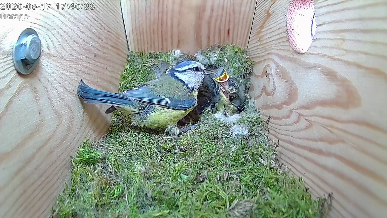 E7FA0829-9E7E-4CCB-891C-024219BC5D47