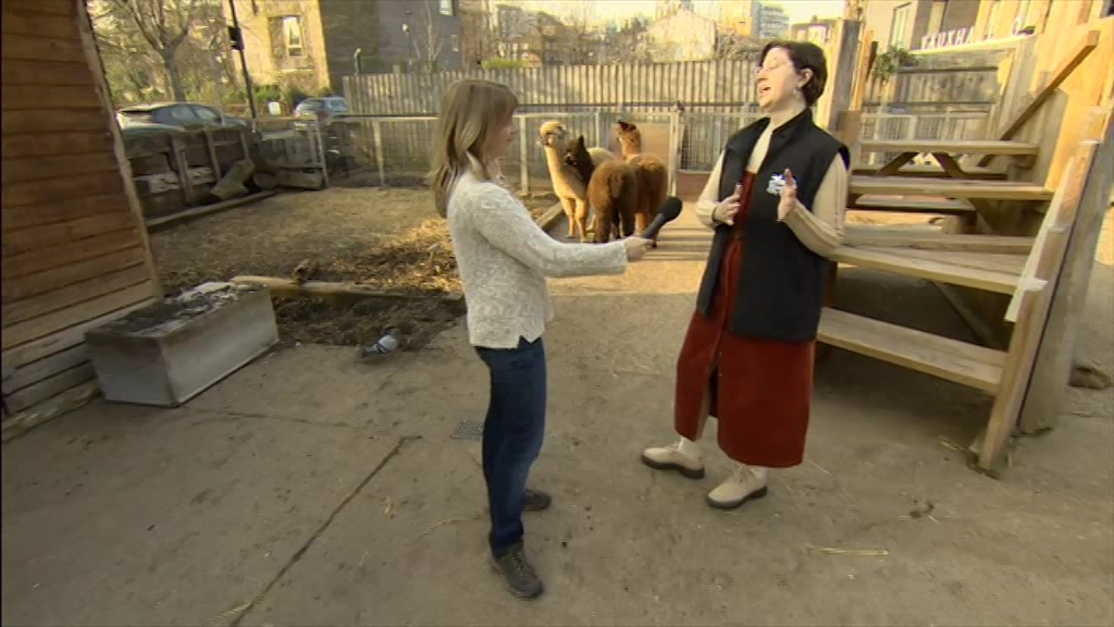 BBC London News_20220324_18301900.ts_snapshot_24.24.433