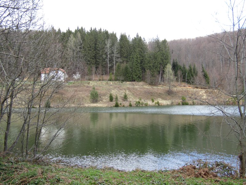 Slika