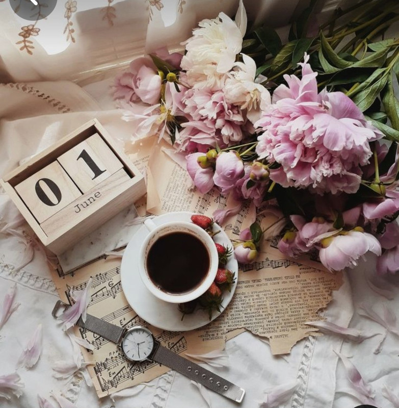 Screenshot_20240604_155045_Pinterest