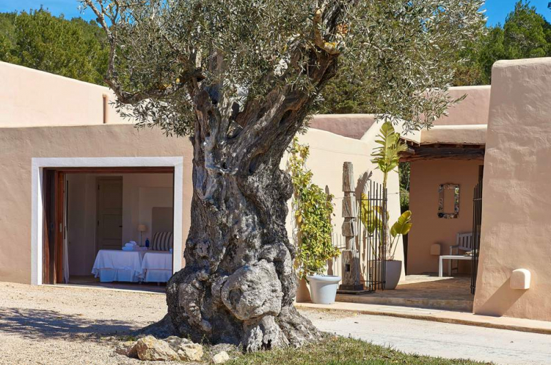 446fccaf143252cabf4e01405ee466f77d2df862