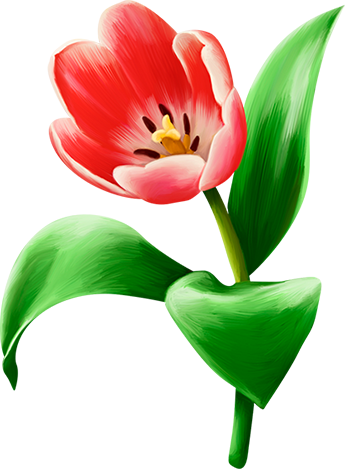 KBK_PrettyRabbit (106)