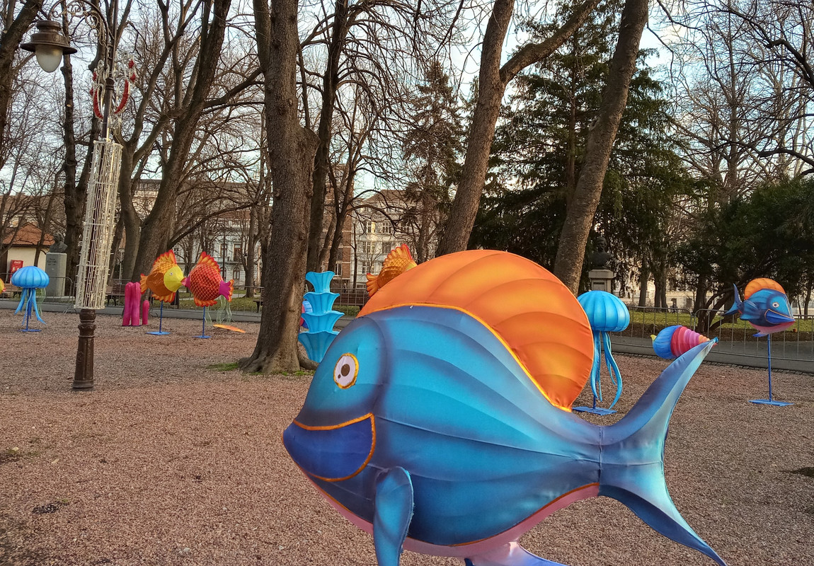 20200131_160908_HDR(1)