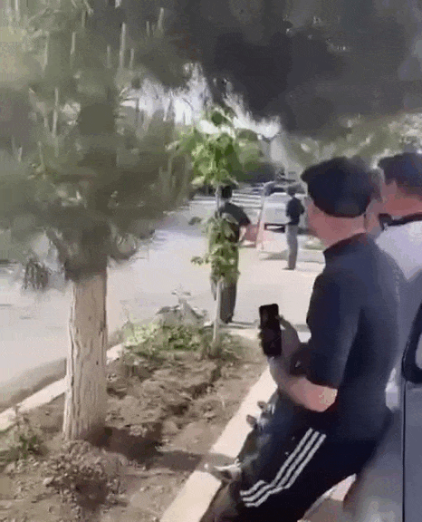 https://i.postimg.cc/8z69Ms3T/video-2026-08-17-08-35-18-(1).gif
