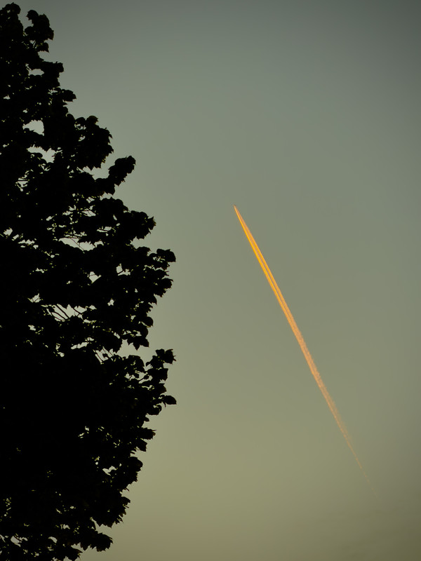 IMG-1148.jpg