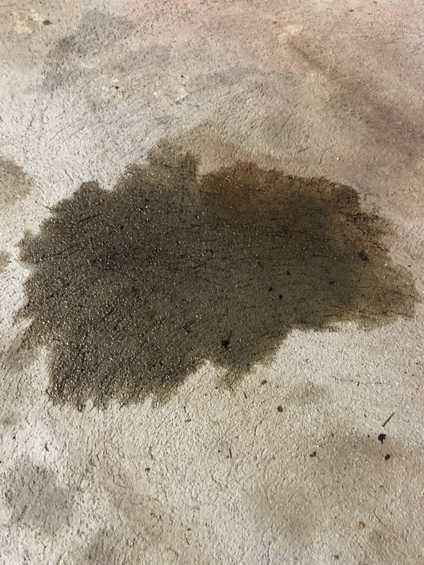 81E672AA-161B-4FB7-A2DF-B169EC7C5944