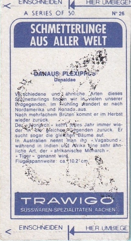 No 26 Danaus Plexipacs Back