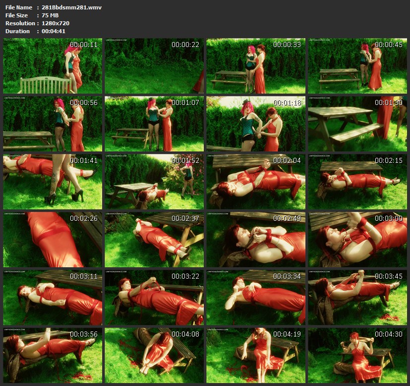 281Bbdsmm281.wmv