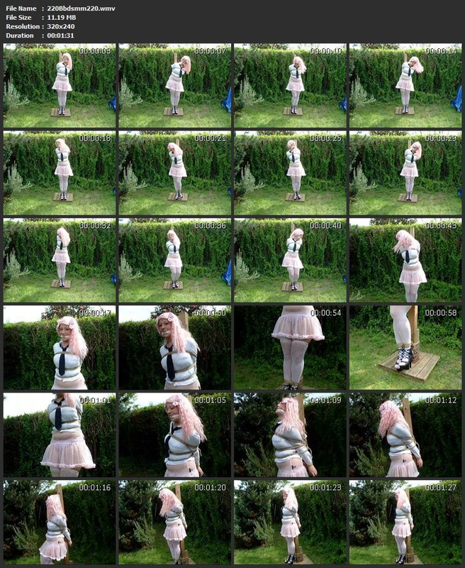 220Bbdsmm220.wmv