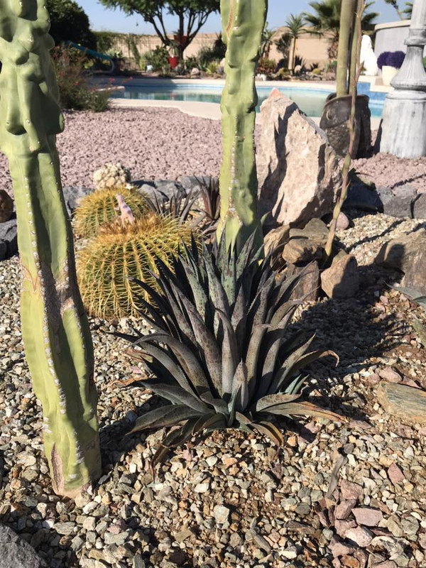 509998615_24307108445581426_7097084235389534965_n