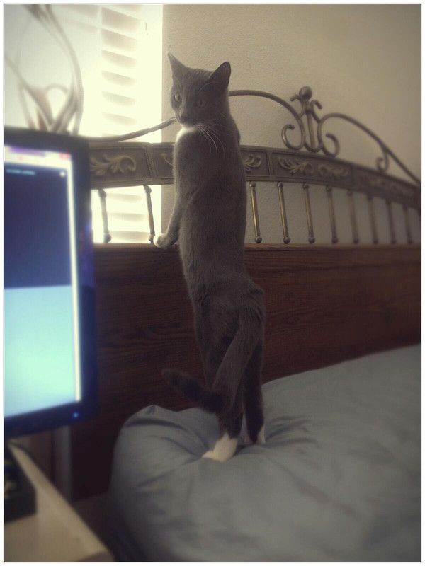 (JPEG Image, 1200?×?1600 pixels) - Scaled (39%)