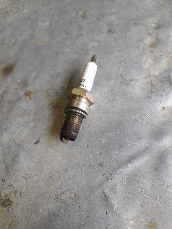 photo_2023-01-29_12-41-08 (7)