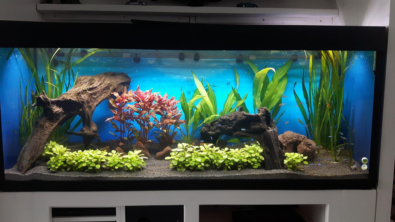 1560874919851316540037