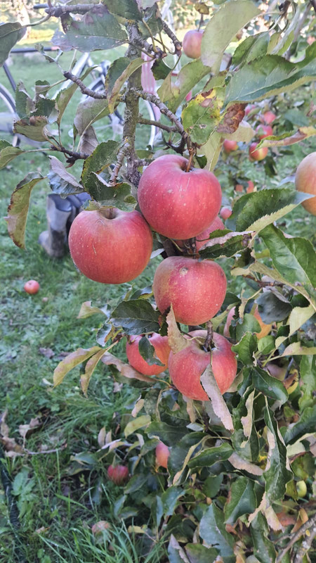 WhatsApp Image 2025-10-15 at 16.27.22 (4)