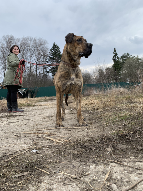 image-09-04-23-05-34-29 (1)