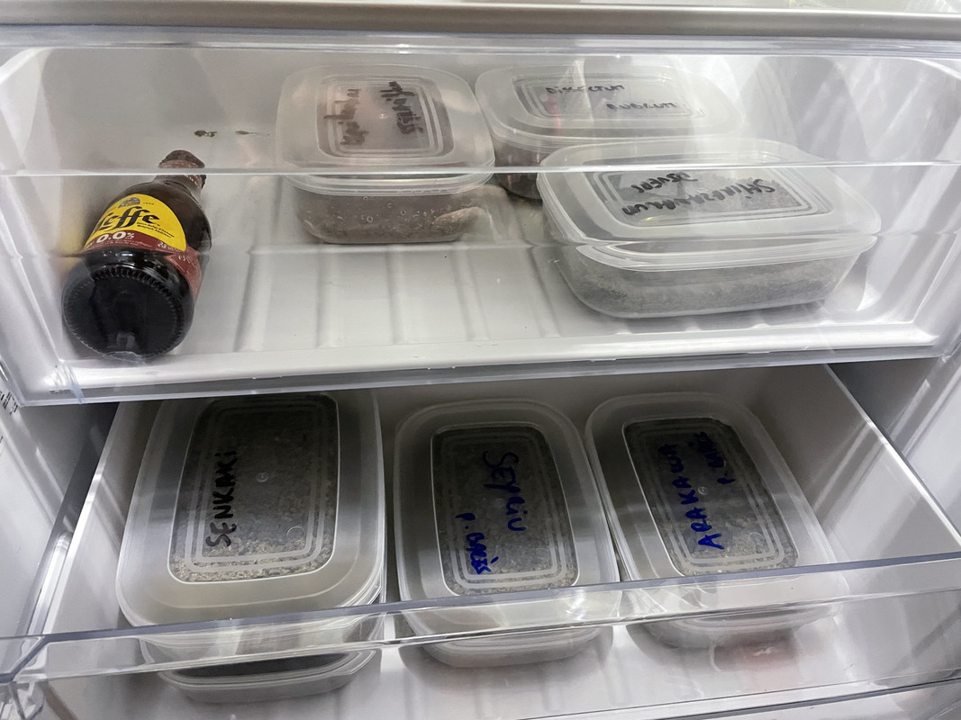 36E6E436-139A-4EFC-9354-C6691433CCE8