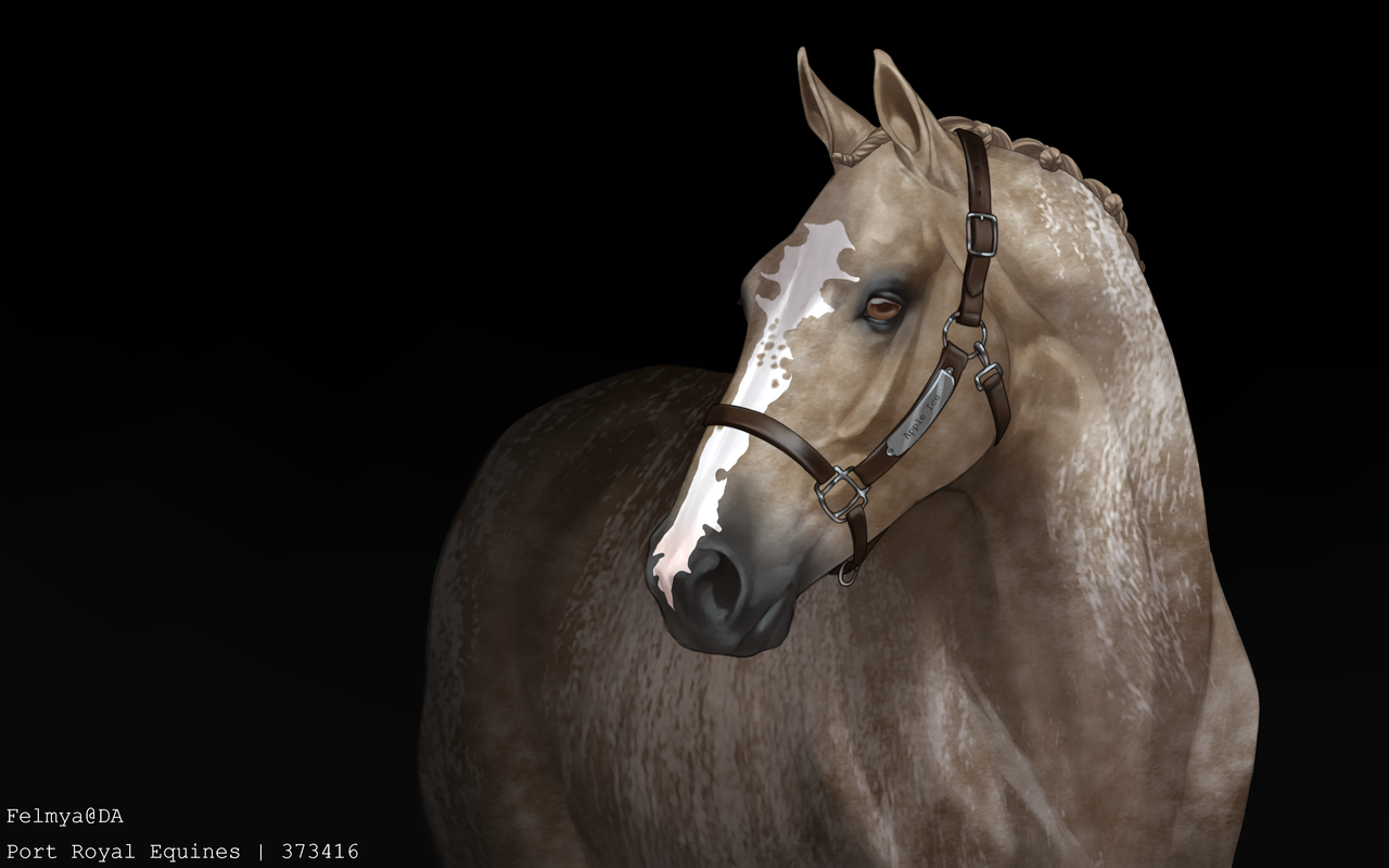 Custom-Base-adult-portrait-Port-Royal-Equi2-20241017024301.png