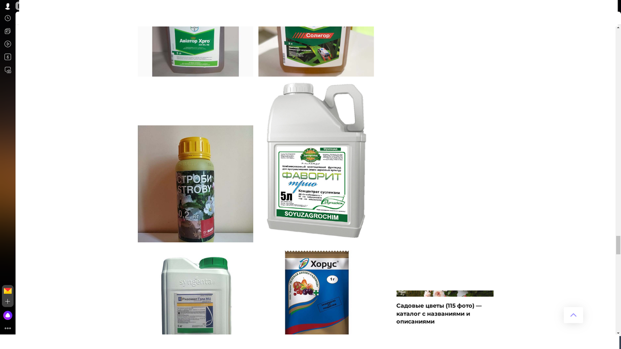 Безымянный