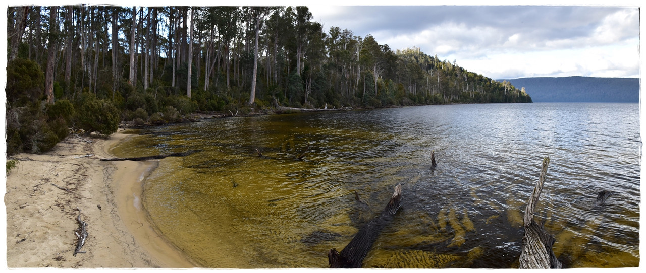 Lake St Clair National Park - Australia (II): Recorriendo Tasmania (3)