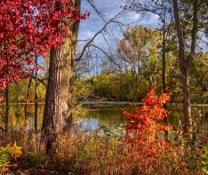 311522458-490303206475411-3223263987032933970-n