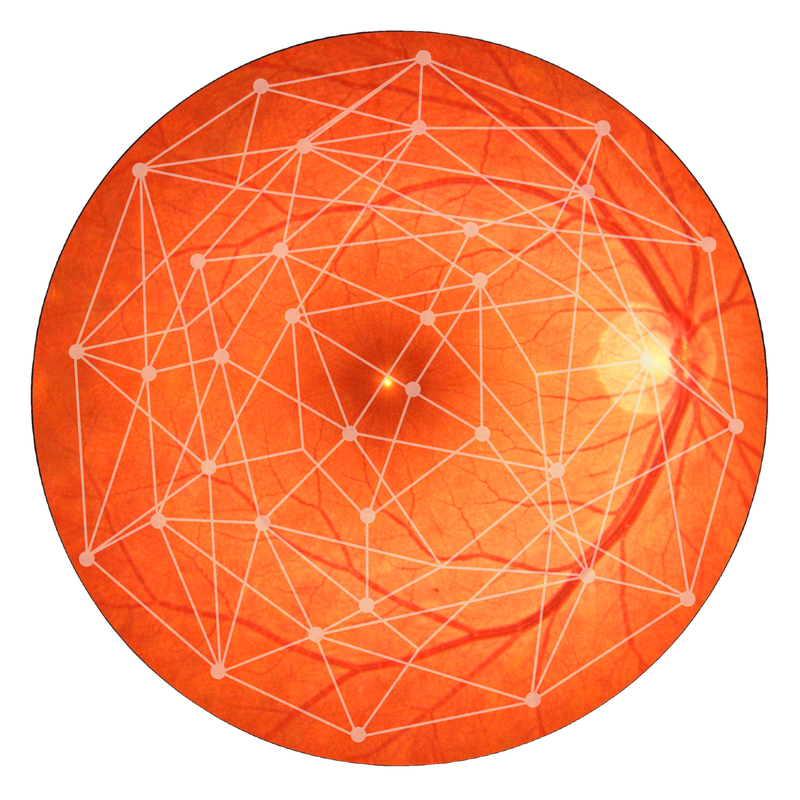 DOCTOR EYE AI-Powered Retinal Image Analysis