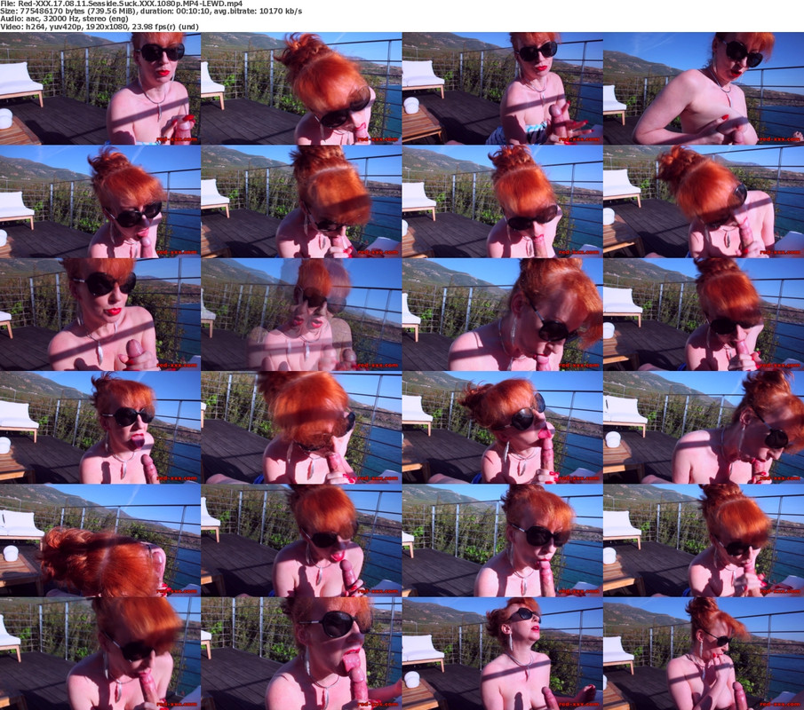 17082024235534screenshot