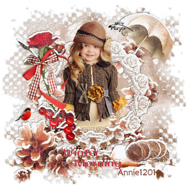 Winter-morning-Annie