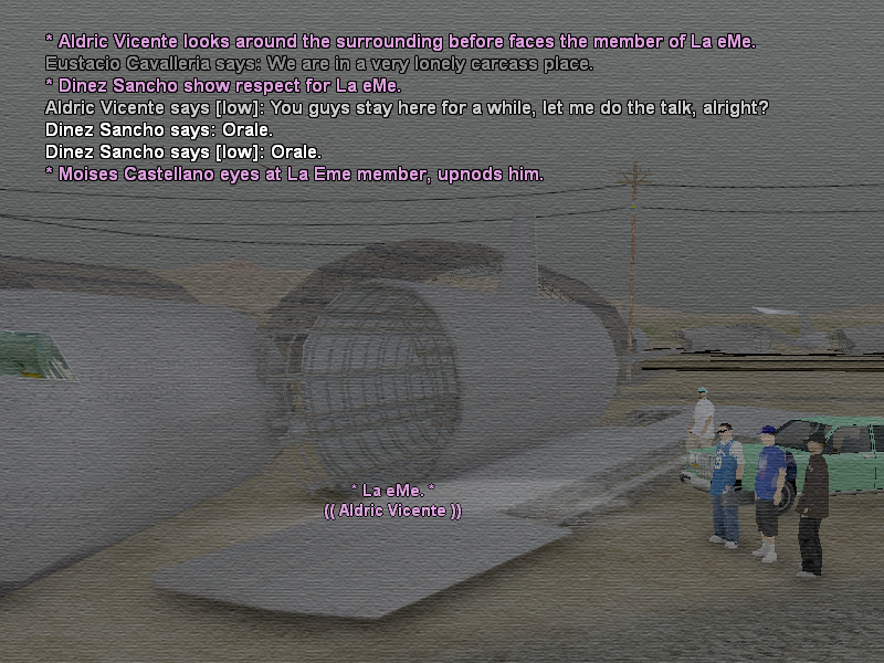 SSRoleplay289.png