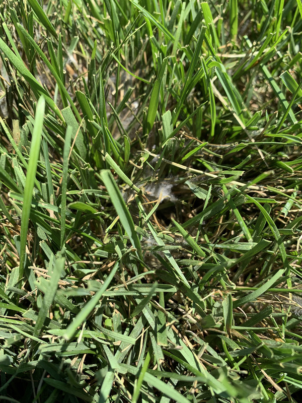 AED1D968-D582-4005-B639-3444B0F818A6