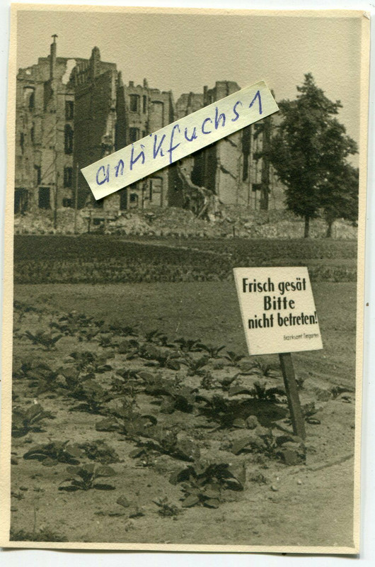 Gemüse-Beet mit Schild am stark zerstörten Lützowplatz in Berlin 1945