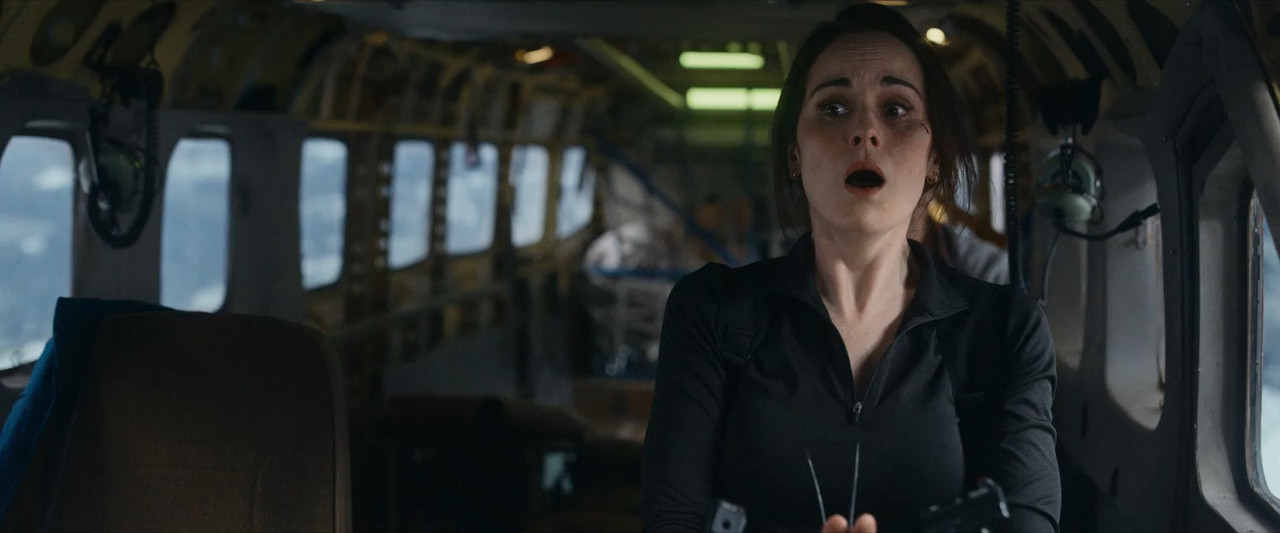 Flight Risk 2025 WebRip [Hindi + Tamil + Telugu + English] 480p 720p ESub Screenshot