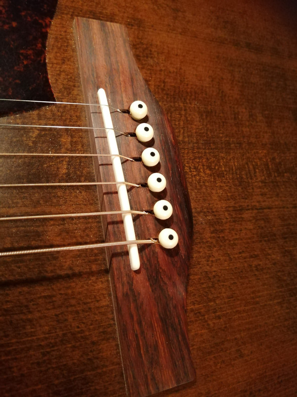 Classic straight, round topped, nonintonated bone saddle The