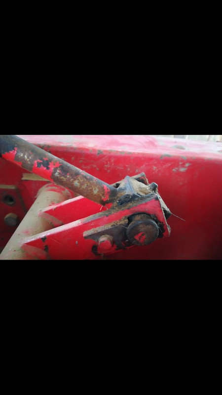 151150536_229461895494625_3762858196339969675_n