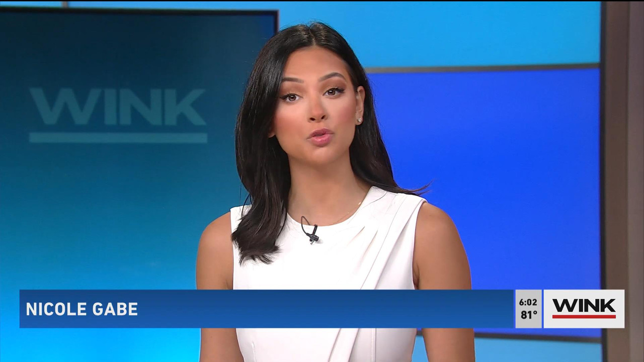 08.01 - 11.00.00 - WINK News @ 6 00AM Sunday. Local news, sports and ....ts_snapshot_00.03.39_[2021.