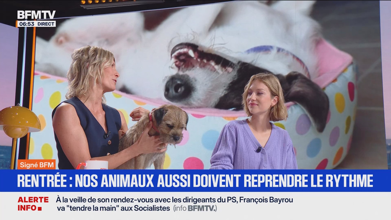 Première édition 6h-8h30 (BFMTV)_2025_09_03_04_55_52.ts_snapshot_00.59.29.080