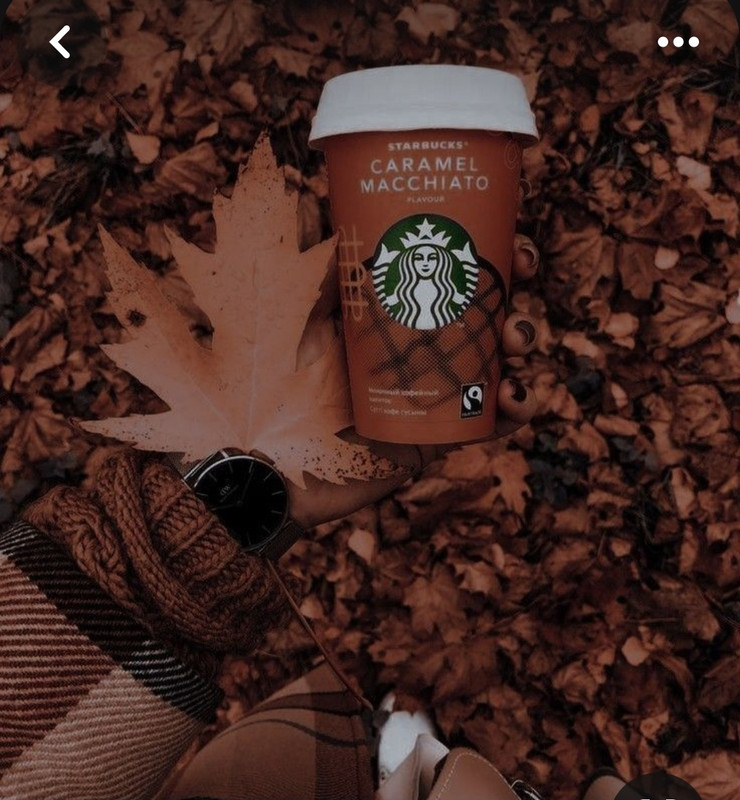 Screenshot_20231115_210716_Pinterest