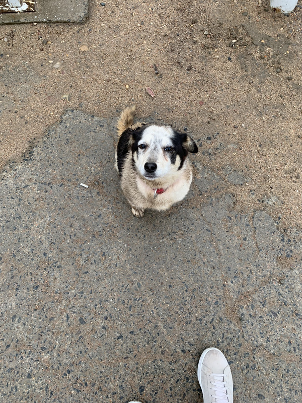 6BCE358F-D024-4C94-B1C9-6E2355CA3119