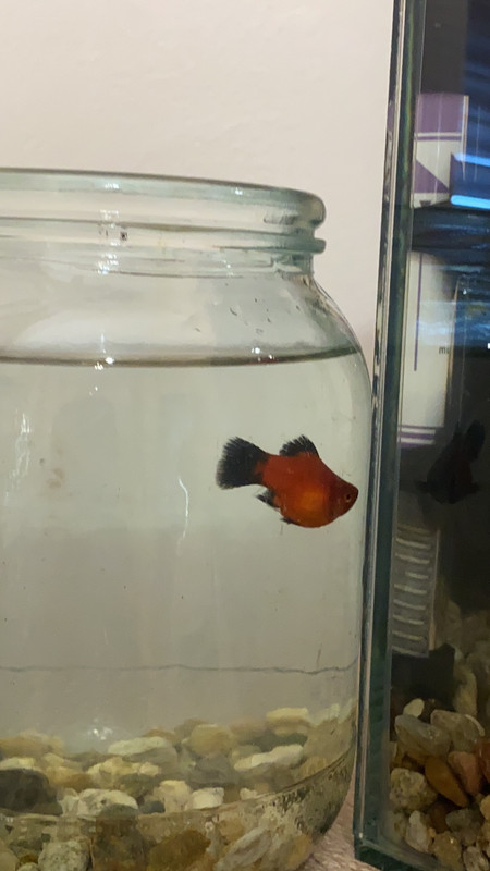 7F8A06C4-930D-4572-9378-7F64E622481E