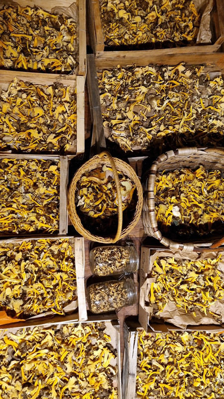 [Image: 20251114-181829.jpg]