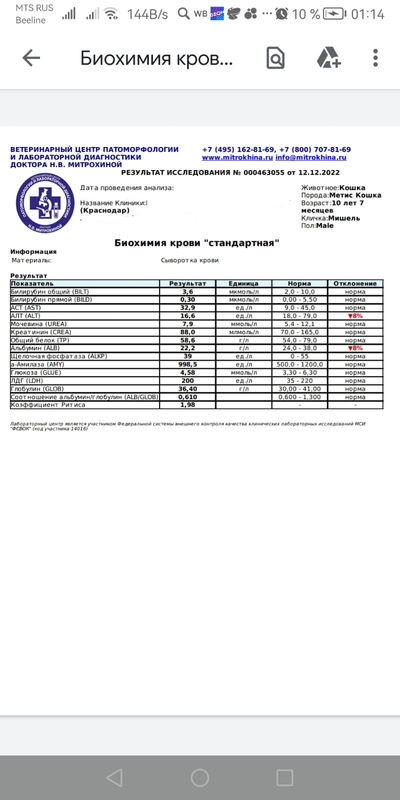 Безымянный