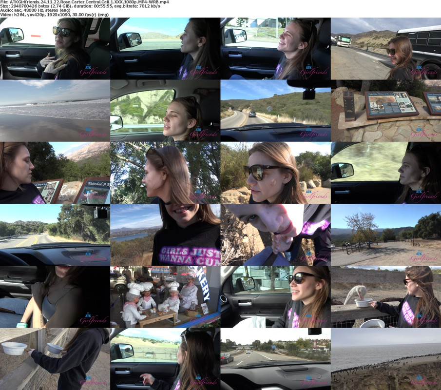 22112024123501screenshot